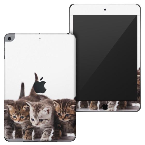 �u��z�֐�p�viPadmini4 (2015)5(2019)��p apple��4�A5���� A1538 A1550 A2124 A2126 A2133 �X�L���V�[��  �ʐ^�@�����@�L�@�˂� 005928