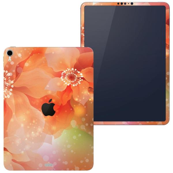 igsticker iPad Pro 11 inch C` Ή apple Abv ACpbh A1934 A1979 A1980 A2013 XLV[  ԁ@t[@IW 001992
