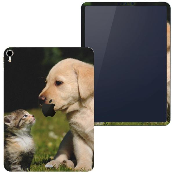 igsticker iPad Pro 11 inch C` Ή apple Abv ACpbh A1934 A1979 A1980 A2013 XLV[  @L@@ʐ^ 002794