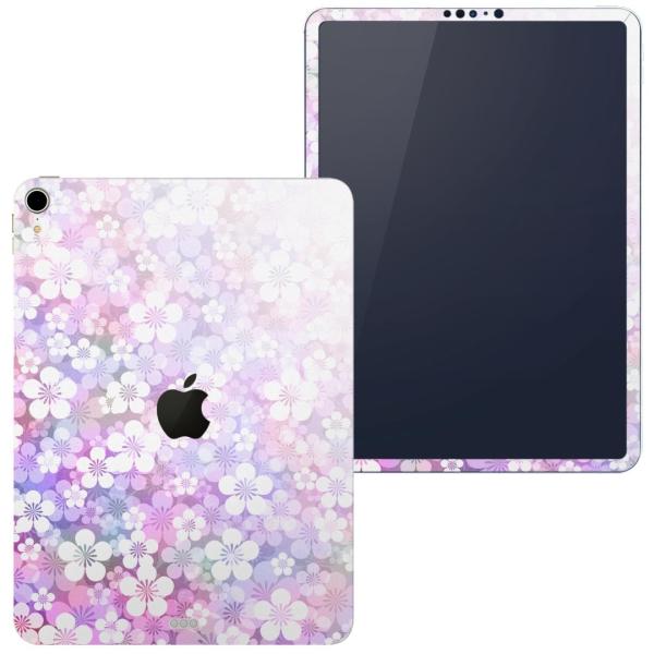 igsticker iPad Pro 11 inch C` Ή apple Abv ACpbh A1934 A1979 A1980 A2013 XLV[  ԁ@t[@a@a 005687