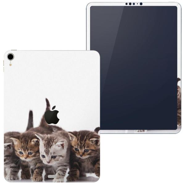 igsticker iPad Pro 11 inch C` Ή apple Abv ACpbh A1934 A1979 A1980 A2013 XLV[  ʐ^@@L@˂ 005928