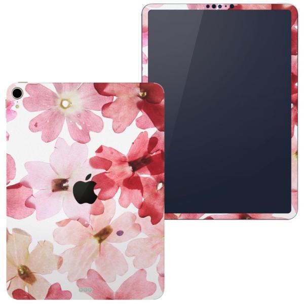 igsticker iPad Pro 11 inch C` Ή apple Abv ACpbh A1934 A1979 A1980 A2013 XLV[  ԁ@t[@ 011258