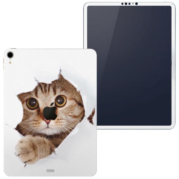 z֐p iPad Pro 12.9 inch C` apple Abv ACpbh 2018 3 A1876 A1895 A1983 A2014  L@@ʐ^ 002783