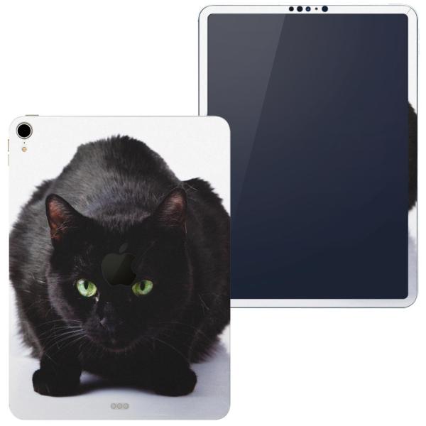 z֐p iPad Pro 12.9 inch C` apple Abv ACpbh 2018 3 A1876 A1895 A1983 A2014  ʐ^@@˂@L 005958