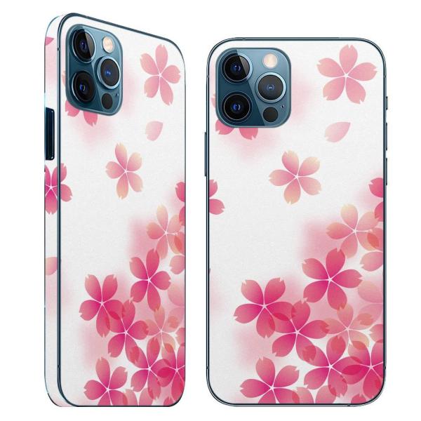 iPhone12 Ή ACtH SʃXLV[ t w   t X}zP[X XebJ[ X}zJo[ P[X  @@sN 000257