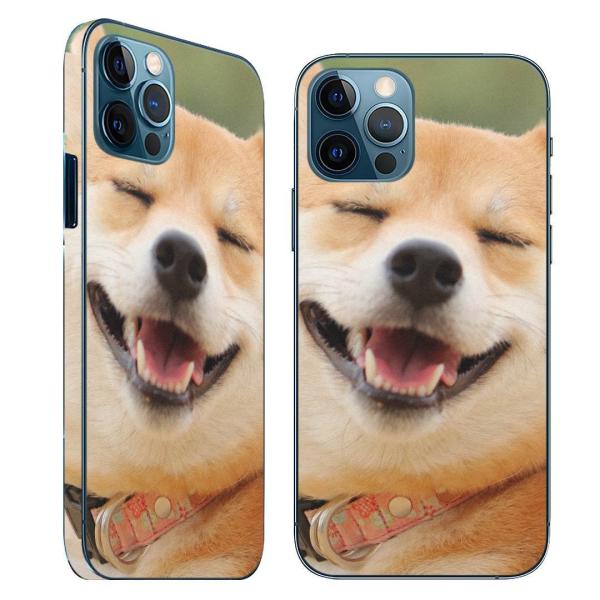 iPhone12 Ή ACtH SʃXLV[ t w   t X}zP[X XebJ[ X}zJo[ P[X  @Č 000926