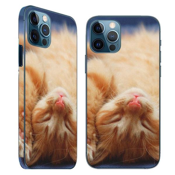 iPhone12 Ή ACtH SʃXLV[ t w   t X}zP[X XebJ[ X}zJo[ P[X  L@@ʐ^ 002759