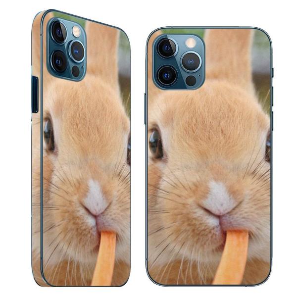 iPhone12 Ή ACtH SʃXLV[ t w   t X}zP[X XebJ[ X}zJo[ P[X  @@ʐ^ 002807