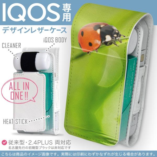 iQOS ACRX p U[P[X ]^ / V^ 2.4PLUS Ή uz֐pv ^oR  Jo[ fUC ĂƂ@ 000820