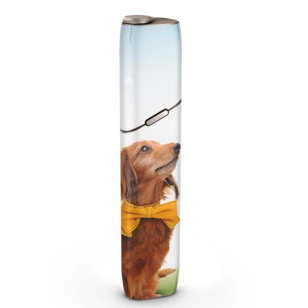 igsticker IQOS3 multi ��p �f�U�C���X�L���V�[�� �A�C�R�X �}���` �X�e�b�J�[ �d�q ���΂� �A�N�Z�T���[ ���@�����@�ʐ^ 002852