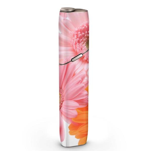 igsticker IQOS3 multi ��p �f�U�C���X�L���V�[�� �A�C�R�X �}���` �X�e�b�J�[ �d�q ���΂� �A�N�Z�T���[ �ԁ@�t�����[�@�ʐ^ 005378