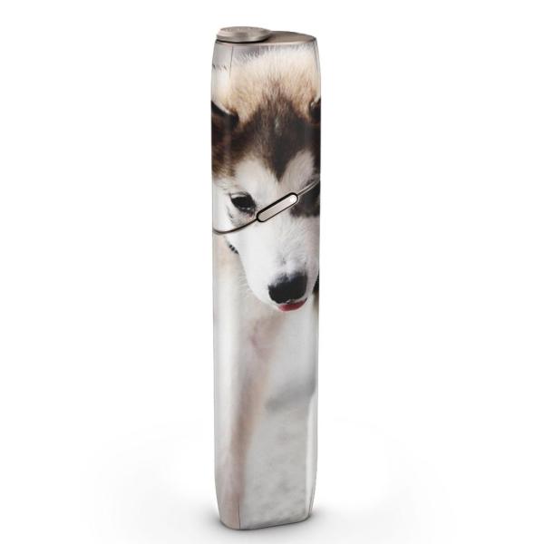 igsticker IQOS3 multi ��p �f�U�C���X�L���V�[�� �A�C�R�X �}���` �X�e�b�J�[ �d�q ���΂� �A�N�Z�T���[ �ʐ^�@�����@�� 005831