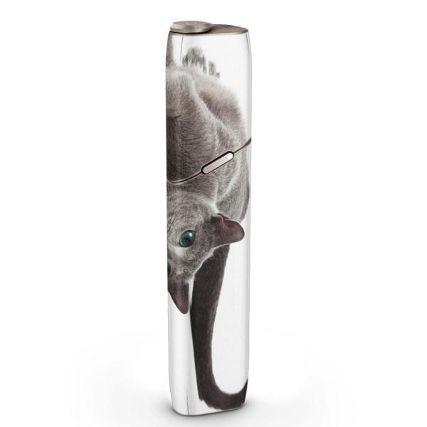 igsticker IQOS3 multi ��p �f�U�C���X�L���V�[�� �A�C�R�X �}���` �X�e�b�J�[ �d�q ���΂� �A�N�Z�T���[ �ʐ^�@�����@�L�@�˂� 005907