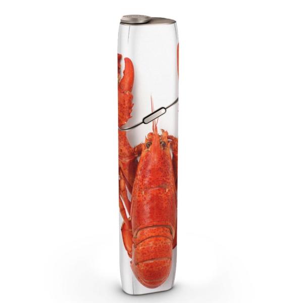 igsticker IQOS3 multi ��p �f�U�C���X�L���V�[�� �A�C�R�X �}���` �X�e�b�J�[ �d�q ���΂� �A�N�Z�T���[ �U���K�j�@������ 006638