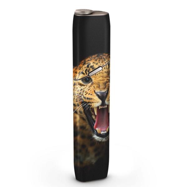 igsticker IQOS3 multi ��p �f�U�C���X�L���V�[�� �A�C�R�X �}���` �X�e�b�J�[ �d�q ���΂� �A�N�Z�T���[ �ʐ^�@�q���E�@���� 006723