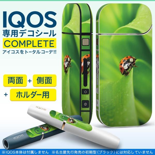 Iqos アイコス 専用スキンシール 裏表2枚 側面 ホルダー フルセット 両面 サイド ボタン てんとう虫 草 3gtrgnc9ia Institutpucnik Si