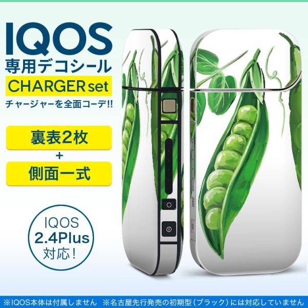 ACRX iQOS / V^iQOS 2.4 Plus pXLV[ Ή tZbg \2  Sʃ^Cv CXg@}@O[@ 008858