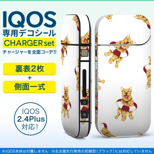 ACRX iQOS / V^iQOS 2.4 Plus pXLV[ Ή tZbg \2  Sʃ^Cv @zCg@@ 008936