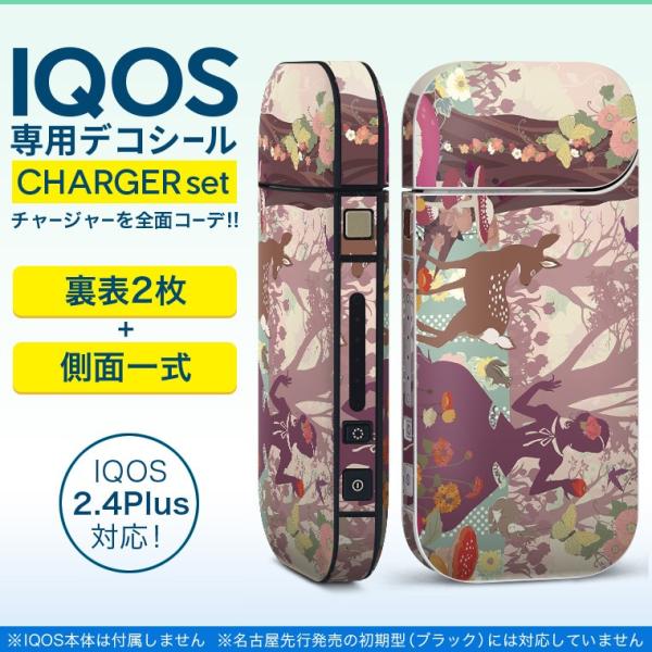 ACRX iQOS / V^iQOS 2.4 Plus pXLV[ Ή tZbg \2  Sʃ^Cv b`[t@CXg 009104