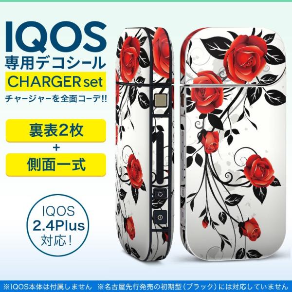 ACRX iQOS / V^iQOS 2.4 Plus pXLV[ Ή tZbg \2  Sʃ^Cv t[@o@ 009303