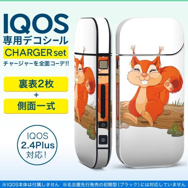 ACRX iQOS / V^iQOS 2.4 Plus pXLV[ Ή tZbg \2  Sʃ^Cv LN^[@X@ 009439