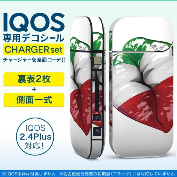 ACRX iQOS / V^iQOS 2.4 Plus pXLV[ Ή tZbg \2  Sʃ^Cv O@@pN 009625
