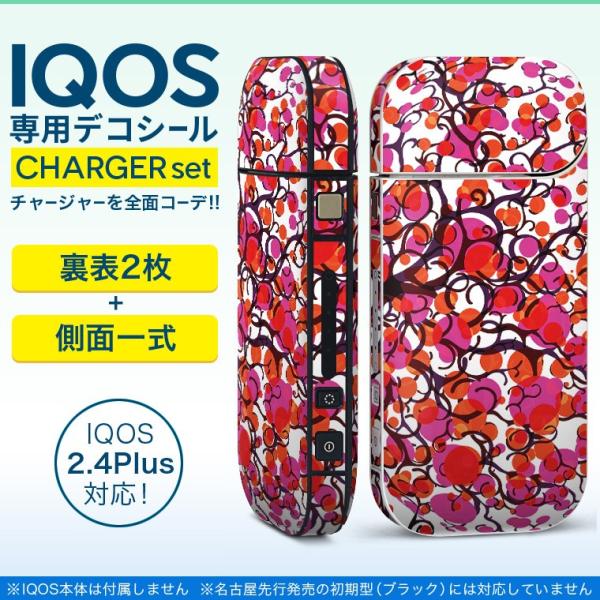 ACRX iQOS / V^iQOS 2.4 Plus pXLV[ Ή tZbg \2  Sʃ^Cv A@؁@ 009719