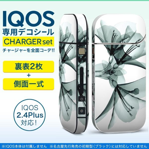 ACRX iQOS / V^iQOS 2.4 Plus pXLV[ Ή tZbg \2  Sʃ^Cv t[@VbN@Vv 009894