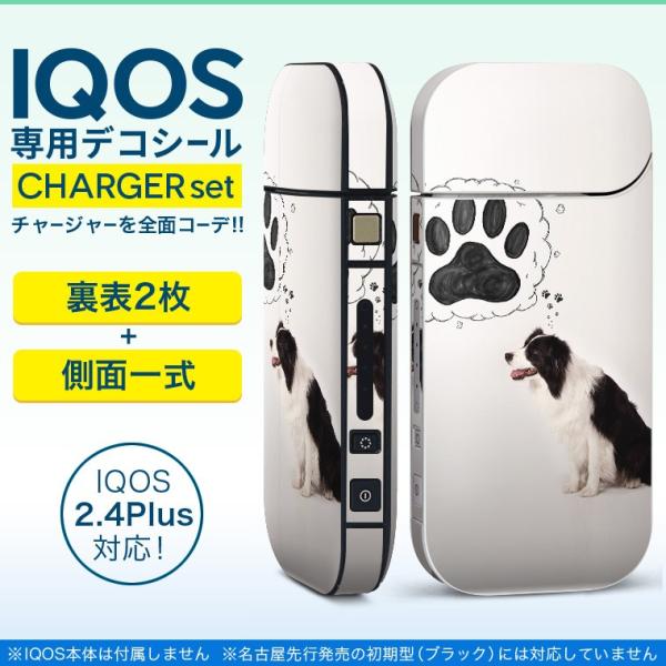 �A�C�R�X iQOS / �V�^iQOS 2.4 Plus ��p�X�L���V�[�� ���Ή� �t���Z�b�g ���\2�� ���� �S�ʃ^�C�v ���@�����@�ʐ^ 009900