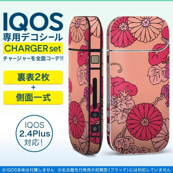 ACRX iQOS / V^iQOS 2.4 Plus pXLV[ Ή tZbg \2  Sʃ^Cv a@a@t[ 010359