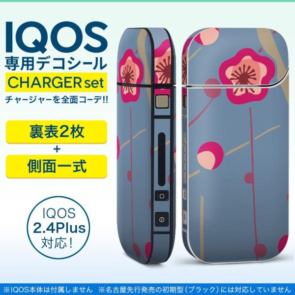 ACRX iQOS / V^iQOS 2.4 Plus pXLV[ Ή tZbg \2  Sʃ^Cv ԁ@a@sN@O[ 010632