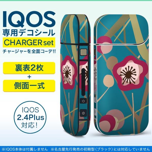 ACRX iQOS / V^iQOS 2.4 Plus pXLV[ Ή tZbg \2  Sʃ^Cv ԁ@a@sN@ 010633