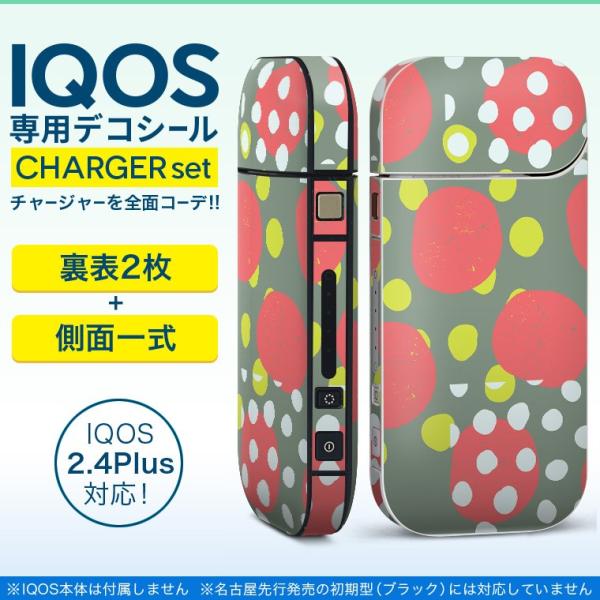 ACRX iQOS / V^iQOS 2.4 Plus pXLV[ Ή tZbg \2  Sʃ^Cv CXg@Jt 010860