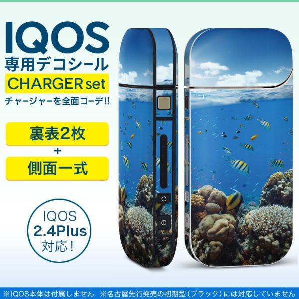 ACRX iQOS / V^iQOS 2.4 Plus pXLV[ Ή tZbg \2  Sʃ^Cv C@@ʐ^ 010920