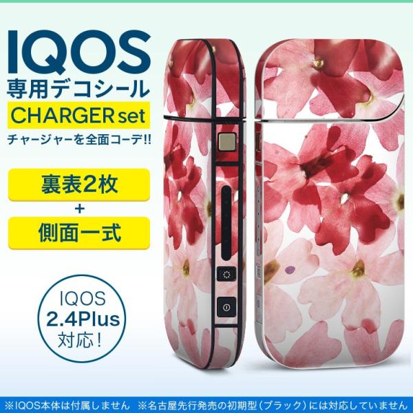 ACRX iQOS / V^iQOS 2.4 Plus pXLV[ Ή tZbg \2  Sʃ^Cv ԁ@t[@ 011258