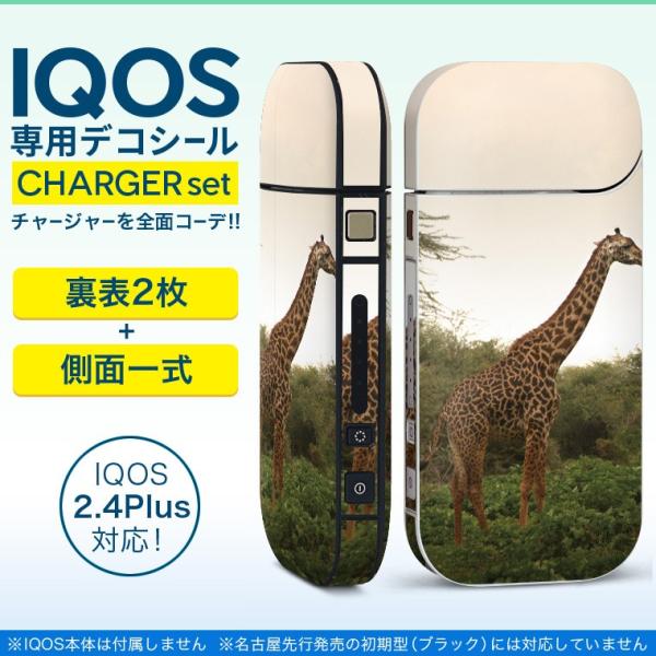 ACRX iQOS / V^iQOS 2.4 Plus pXLV[ Ή tZbg \2  Sʃ^Cv @Aj}@ 011290