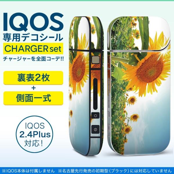 ACRX iQOS / V^iQOS 2.4 Plus pXLV[ Ή tZbg \2  Sʃ^Cv ԁ@Ђ܂@ʐ^ 011440