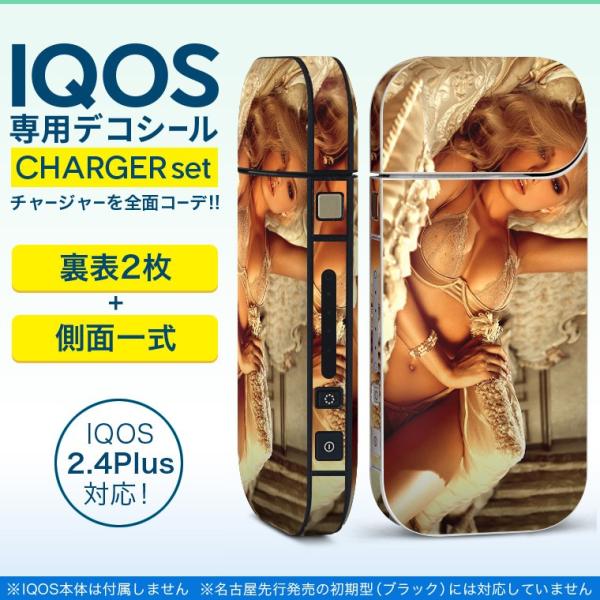 ACRX iQOS / V^iQOS 2.4 Plus pXLV[ Ή tZbg \2  Sʃ^Cv @@ZNV[ 011562