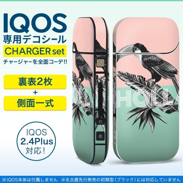 ACRX iQOS / V^iQOS 2.4 Plus pXLV[ Ή tZbg \2  Sʃ^Cv @{^jJ@pXe 011821