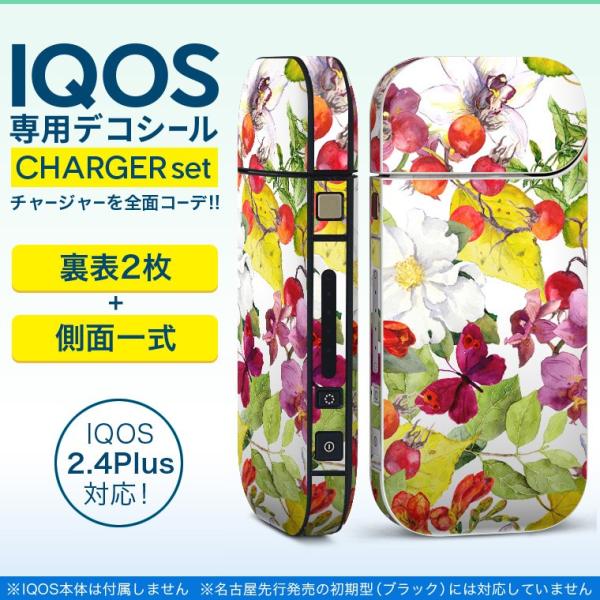 ACRX iQOS / V^iQOS 2.4 Plus pXLV[ Ή tZbg \2  Sʃ^Cv ԁ@ԕ@ 011895