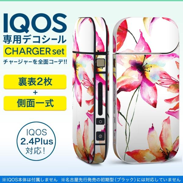 ACRX iQOS / V^iQOS 2.4 Plus pXLV[ Ή tZbg \2  Sʃ^Cv ԁ@ԕ@ 011905
