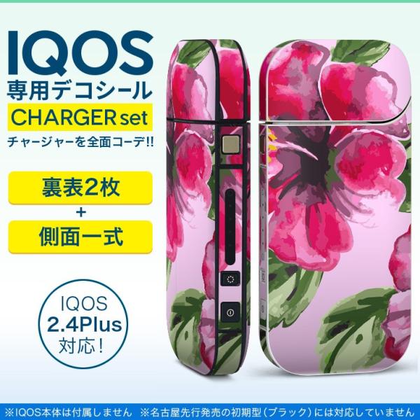 ACRX iQOS / V^iQOS 2.4 Plus pXLV[ Ή tZbg \2  Sʃ^Cv nCrXJX@ԁ@A 012083