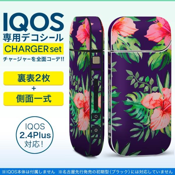 ACRX iQOS / V^iQOS 2.4 Plus pXLV[ Ή tZbg \2  Sʃ^Cv nCrXJX@ԁ@A 012084