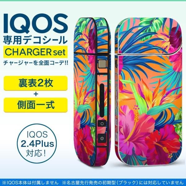 ACRX iQOS / V^iQOS 2.4 Plus pXLV[ Ή tZbg \2  Sʃ^Cv nCrXJX@ԁ@Jt 012174