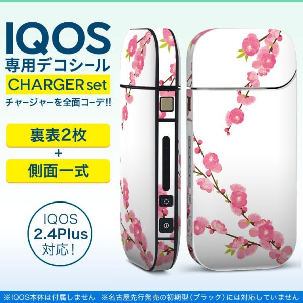 ACRX iQOS / V^iQOS 2.4 Plus pXLV[ Ή tZbg \2  Sʃ^Cv ЂȍՂ@̉ԁ@ߋ 012862