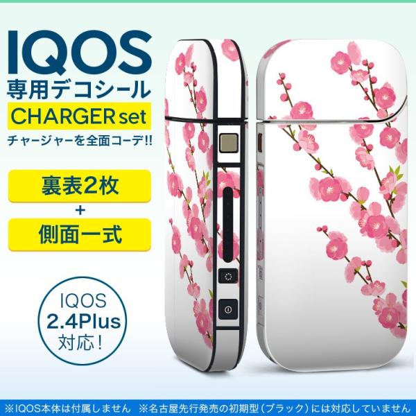 ACRX iQOS / V^iQOS 2.4 Plus pXLV[ Ή tZbg \2  Sʃ^Cv ЂȍՂ@̉ԁ@ߋ 012863