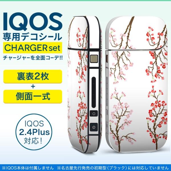 ACRX iQOS / V^iQOS 2.4 Plus pXLV[ Ή tZbg \2  Sʃ^Cv ~@ԁ@ 012970