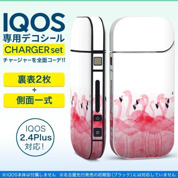ACRX iQOS / V^iQOS 2.4 Plus pXLV[ Ή tZbg \2  Sʃ^Cv t~S@sN 012991