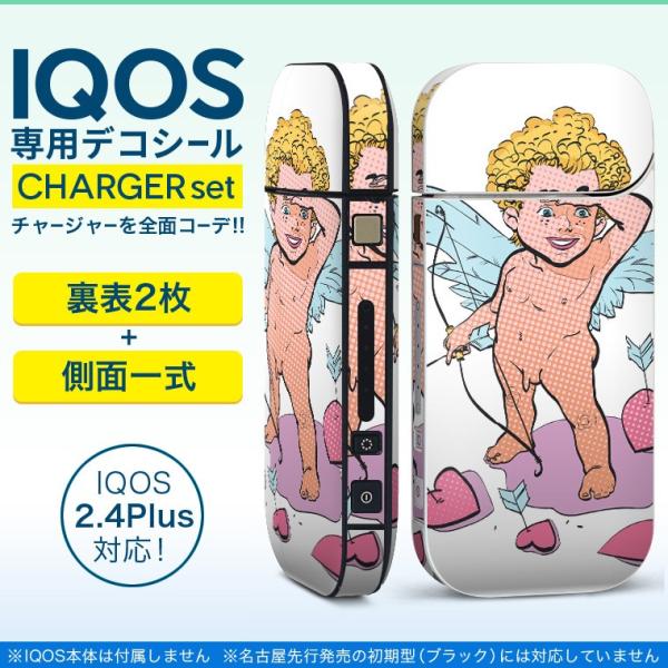 ACRX iQOS / V^iQOS 2.4 Plus pXLV[ Ή tZbg \2  Sʃ^Cv Vg@@n[g 013419