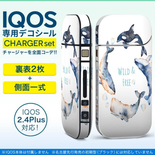 ACRX iQOS / V^iQOS 2.4 Plus pXLV[ Ή tZbg \2  Sʃ^Cv @C@p 013466